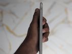 Apple iPhone 8 Plus (Used)