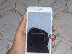 Apple iPhone 8 Plus (Used)