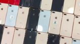 Apple iPhone 8 Plus (Used)
