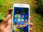 Apple iPhone 8 Plus (Used)