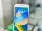 Apple iPhone 8 Plus (Used)