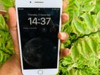 Apple iPhone 8 Plus (Used)
