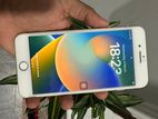 Apple iPhone 8 Plus (Used)