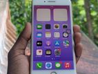 Apple iPhone 8 Plus (Used)