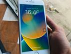 Apple iPhone 8 Plus (Used)