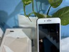Apple iPhone 8 Plus (Used)