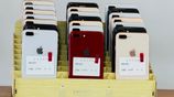 Apple iPhone 8 Plus (Used)