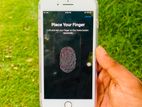 Apple iPhone 8 Plus (Used)