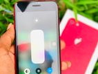 Apple iPhone 8 Red (Used)