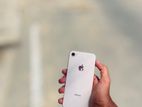 Apple iPhone 8 (Used)