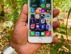Apple iPhone 8 (Used)
