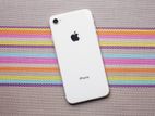 Apple iPhone 8 (Used)