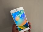 Apple iPhone 8 (Used)