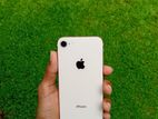 Apple iPhone 8 (Used)