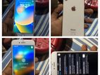 Apple iPhone 8 (Used)