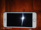 Apple iPhone 8 (Used)