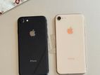 Apple iPhone 8 (Used)