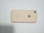 Apple iPhone 8 (Used)