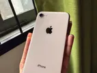 Apple iPhone 8 (Used)