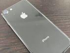 Apple iPhone 8 (Used)