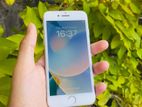 Apple iPhone 8 (Used)