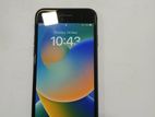 Apple iPhone 8 (Used)