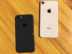 Apple iPhone 8 (Used)
