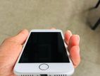 Apple iPhone 8 (Used)