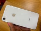 Apple iPhone 8 (Used)