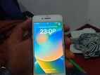 Apple iPhone 8 (Used)