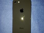 Apple iPhone 8 (Used)