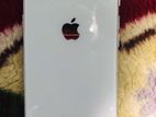 Apple iPhone 8 (Used)