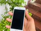 Apple iPhone 8 (Used)