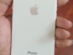 Apple iPhone 8 (Used)