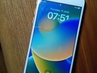 Apple iPhone 8 (Used)