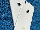 Apple iPhone 8 (Used)