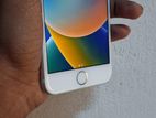 Apple iPhone 8 (Used)