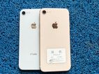 Apple iPhone 8 (Used)