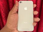 Apple iPhone 8 (Used)