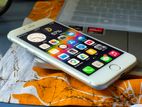 Apple iPhone 8 (Used)