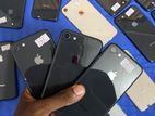 Apple iPhone 8 (Used)