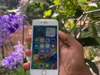 Apple iPhone 8 (Used)