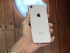 Apple iPhone 8 (Used)
