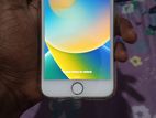 Apple iPhone 8 (Used)