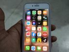 Apple iPhone 8 (Used)