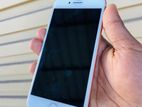 Apple iPhone 8 (Used)