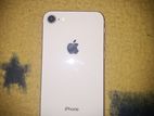 Apple iPhone 8 (Used)
