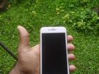 Apple iPhone 8 (Used)