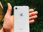 Apple iPhone 8 (Used)