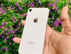 Apple iPhone 8 (Used)